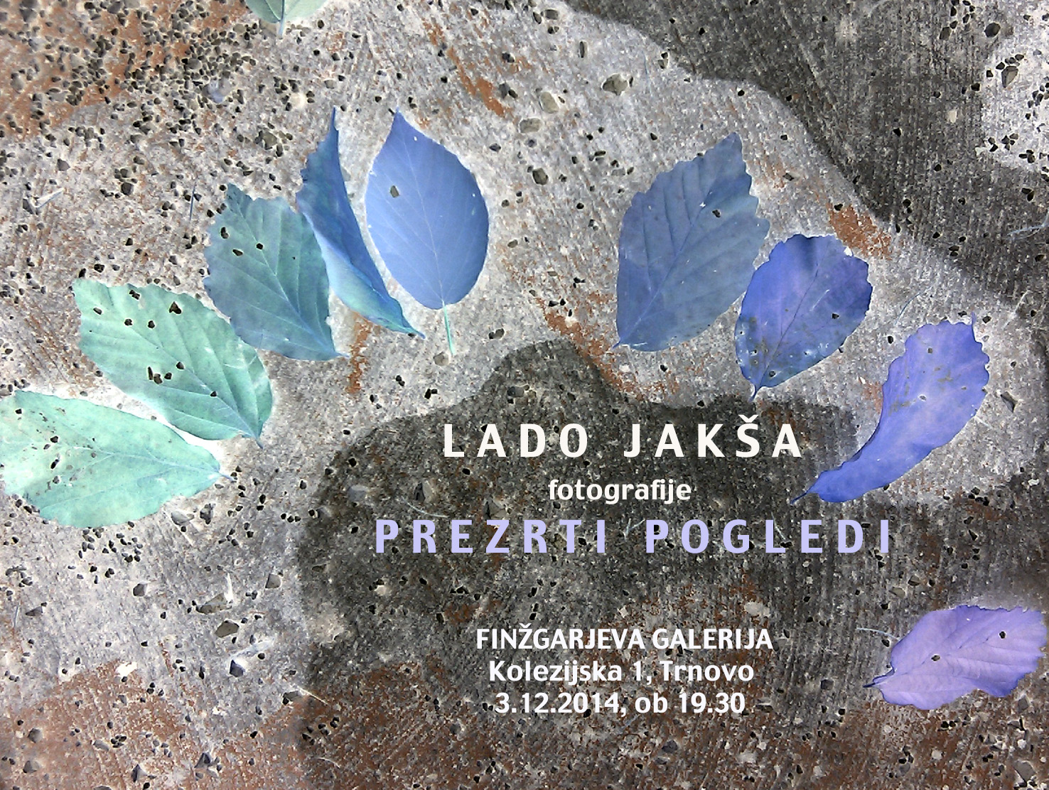 TRN-FIN-GAL Razst-LADO-J TRNOVO-copy